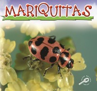 Cover Mariquitas