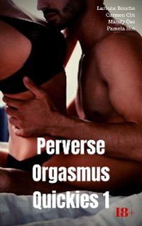 Cover Perverse Orgasmus Quickies 1