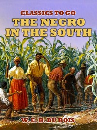 Cover Negro In The South