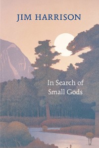 Cover In Search of Small Gods