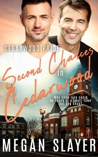 Cover Second Chances in Cedarwood