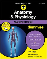 Cover Anatomy & Physiology Workbook For Dummies with Online Practice