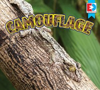 Cover Camouflage