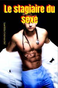 Cover Le stagiaire du sexe