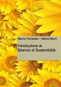 Cover Introduzione al Bilancio di Sostenibilità