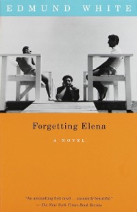Cover Forgetting Elena