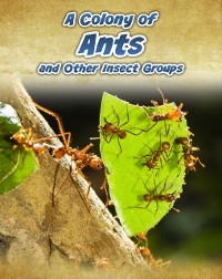 Cover Colony of Ants