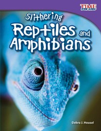 Cover Slithering Reptiles and Amphibians