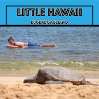 Cover Little Hawaii