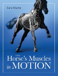 Cover Horse's Muscles in Motion