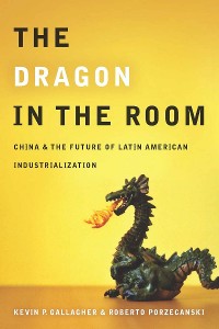 Cover The Dragon in the Room
