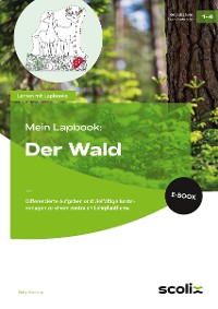 Cover Mein Lapbook: Der Wald