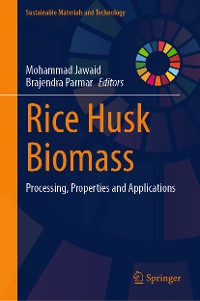 Cover Rice Husk Biomass