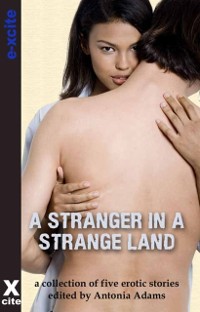 Cover A Stranger in a Strange Land