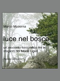 Cover luce nel bosco