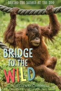 Cover Bridge to the Wild