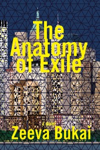 Cover The Anatomy of Exile: A Novel