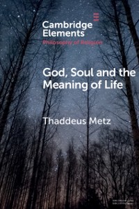 Cover God, Soul and the Meaning of Life