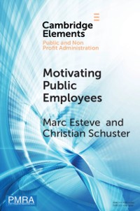 Cover Motivating Public Employees