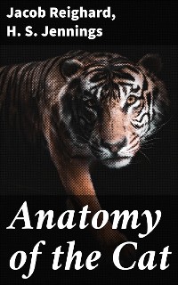Cover Anatomy of the Cat