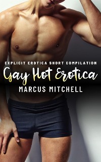 Cover Gay Hot Erotica