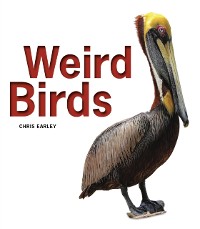 Cover Weird Birds