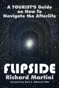 Cover Flipside : A Tourist's Guide on How to Navigate the Afterlife