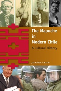 Cover Mapuche in Modern Chile