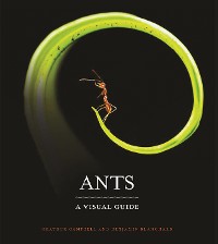 Cover Ants