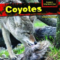 Cover Coyotes