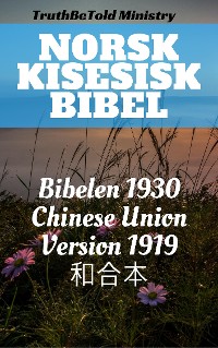 Cover Norsk Kinesisk Bibel
