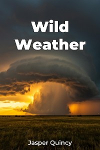 Cover Wild Weather