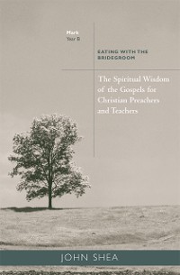 Cover The Spiritual Wisdom of Gospels for Christian Preachers and Teachers
