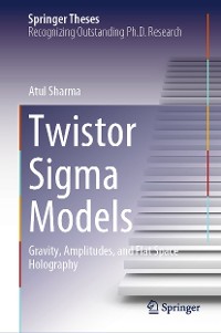 Cover Twistor Sigma Models