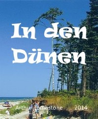 Cover In den Dünen