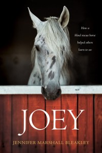 Cover Joey