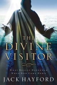 Cover Divine Visitor