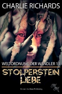 Cover Stolperstein Liebe