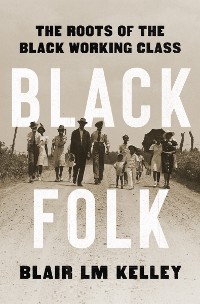 Cover Black Folk: The Roots of the Black Working Class
