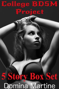 Cover College BDSM Project 5 Book Bundle