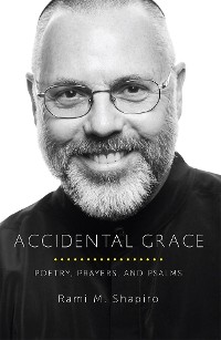Cover Accidental Grace