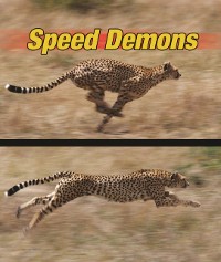 Cover Speed Demons