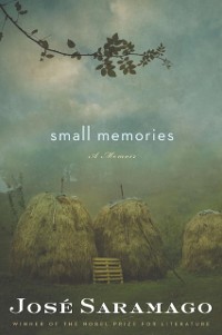 Cover Small Memories