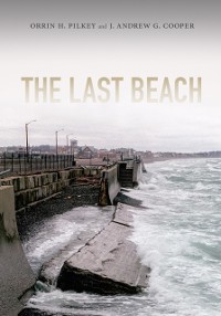 Cover Last Beach