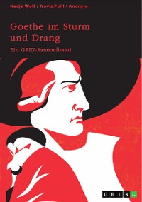 Cover Goethe im Sturm und Drang. Motive und Sprache in Lyrik und Drama