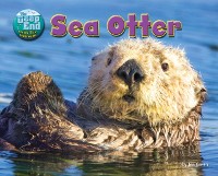 Cover Sea Otter