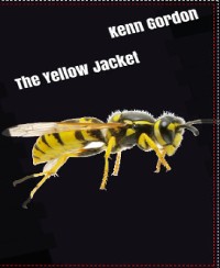 Cover The Yellow Jacket