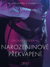 Cover Narozeninové překvapení - Erotická povídka