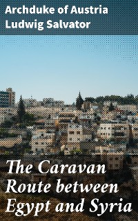 Cover The Caravan Route between Egypt and Syria