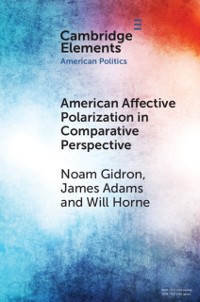 Cover American Affective Polarization in Comparative Perspective